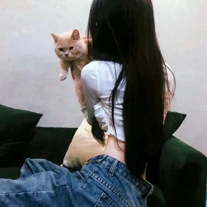 连锁大阴谋