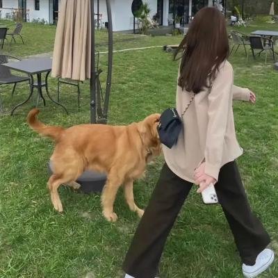 时钟机关之星