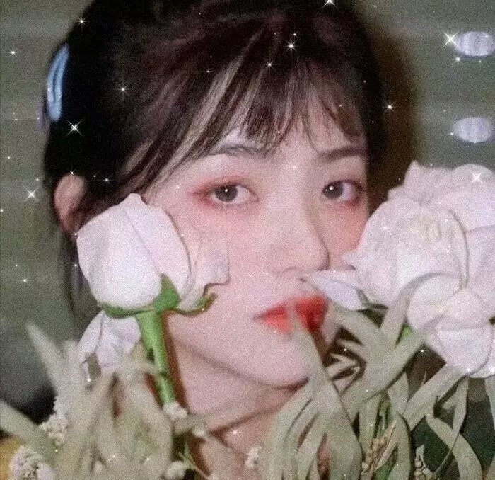 乔伊2024